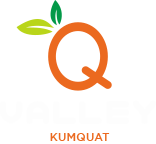 Q Valley