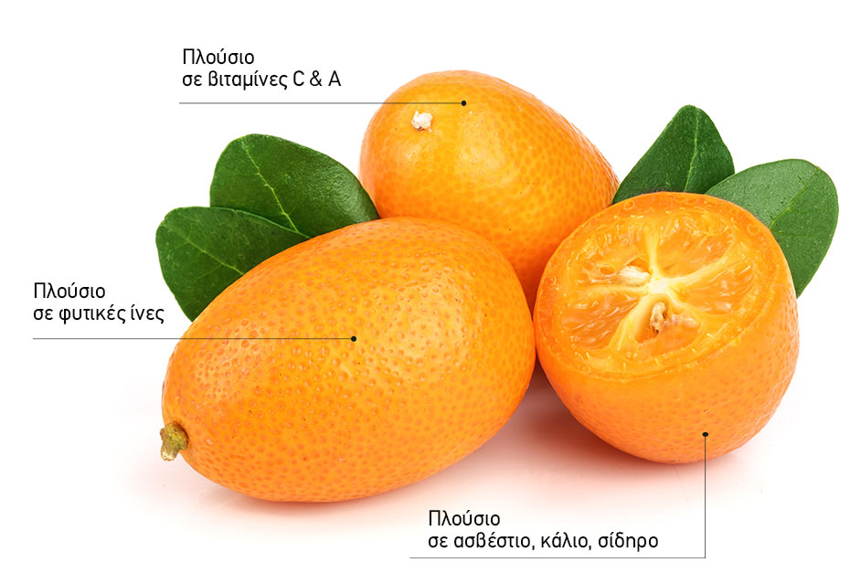 Kumquat