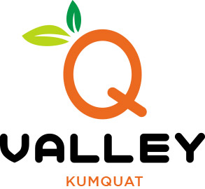 Q-Valley
